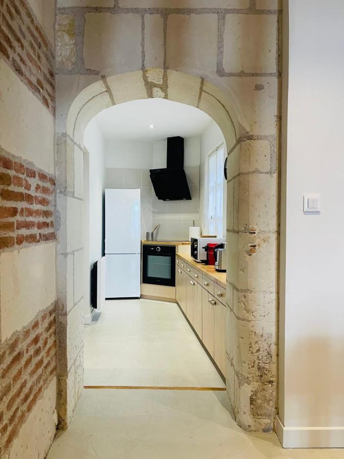 Splendid Apartment At The Foot Of The Castle Of Amboise - View Of The Loir 외부 사진