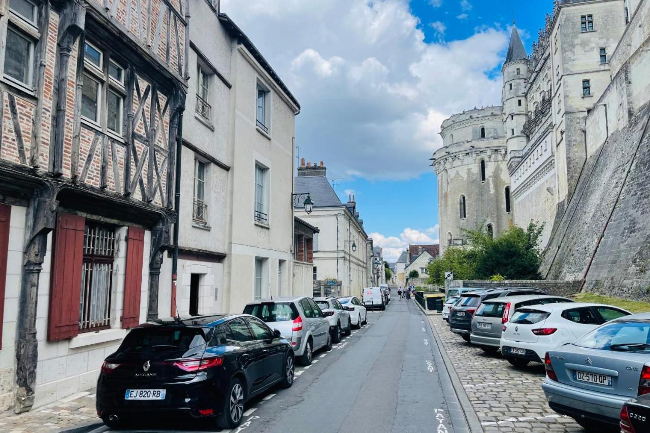 Splendid Apartment At The Foot Of The Castle Of Amboise - View Of The Loir 외부 사진